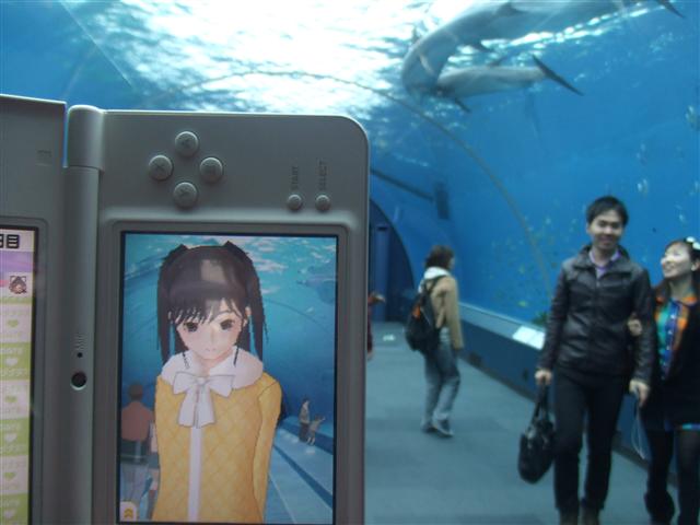 DSCF0551.JPG DSCF0551.JPG