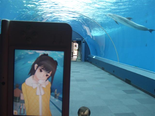 DSCF0567.JPG DSCF0567.JPG