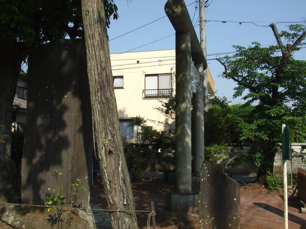 DSCF3664.JPG DSCF3664.JPG