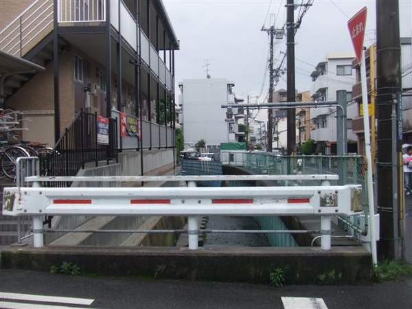 DSCF1734.JPG DSCF1734.JPG