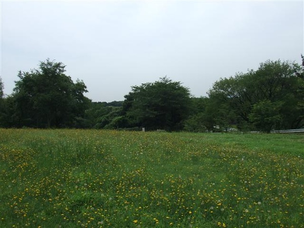 DSCF4602.JPG DSCF4602.JPG