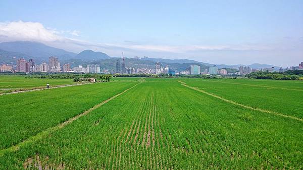 DSC_3822.JPG DSC_3822.JPG