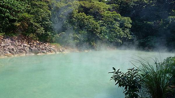 DSC_3860 (1280x720).jpg