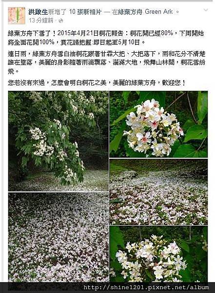 苗栗賞桐餐廳 綠葉方舟