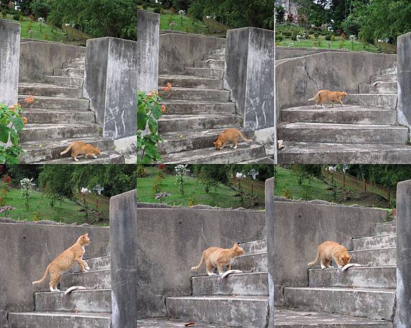 2012馬來西亞.jpg 2012馬來西亞.jpg