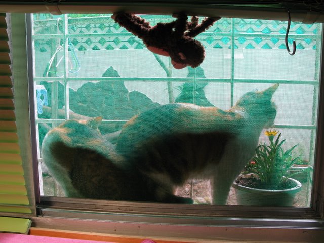 02.JPG 02.JPG
