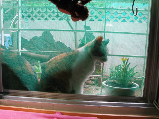 05.JPG 05.JPG