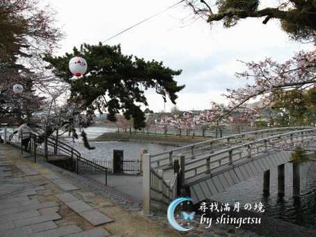 IMG_0419-宇治川.gif