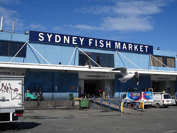 Sydney Fish Market Sydney Fish Market