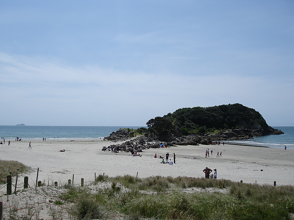 遠處連著的小島是Moturiki Island 遠處連著的小島是Moturiki Island