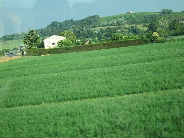 比薩托斯卡納莊園 043