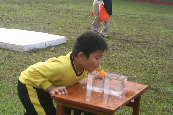 IMG_0031.JPG IMG_0031.JPG