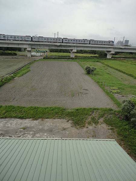 窗邊的喵咪 窗邊的喵咪