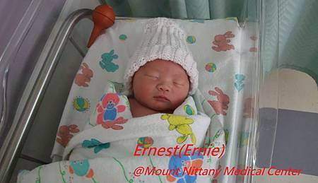 Little Ernie.jpg Little Ernie.jpg