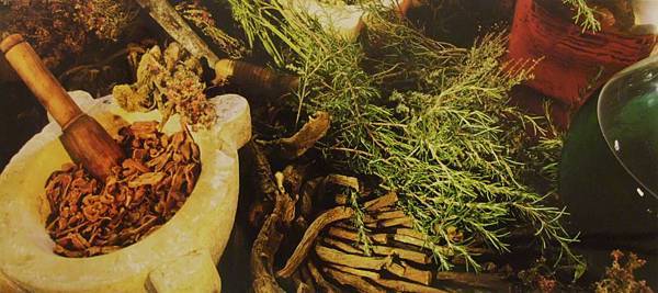 DSCF8695.JPG DSCF8695.JPG