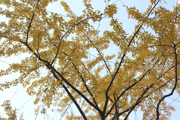 IMG_5718.jpg IMG_5718.jpg