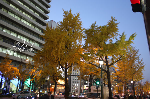 IMG_5738.jpg IMG_5738.jpg