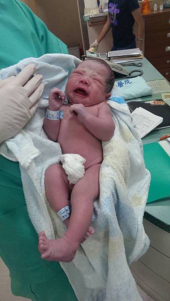 照片 2.JPG 照片 2.JPG