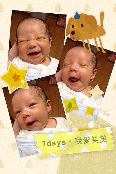 照片 5.JPG 照片 5.JPG