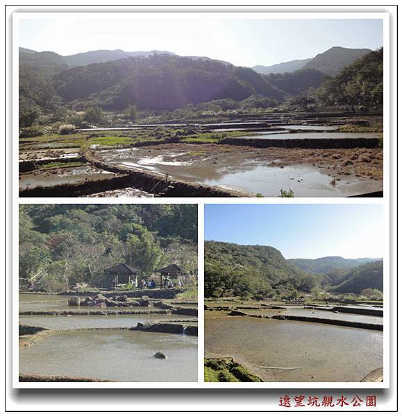 遠望坑親水公園