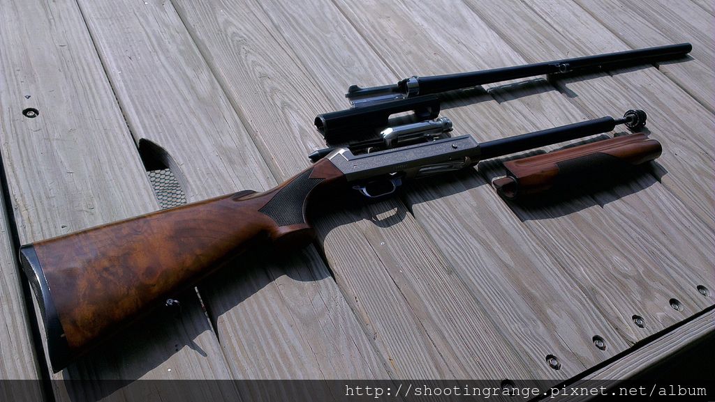 霰彈槍近拍 霰彈槍近拍