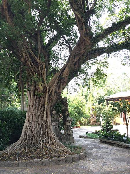 IMG_4880.JPG IMG_4880.JPG