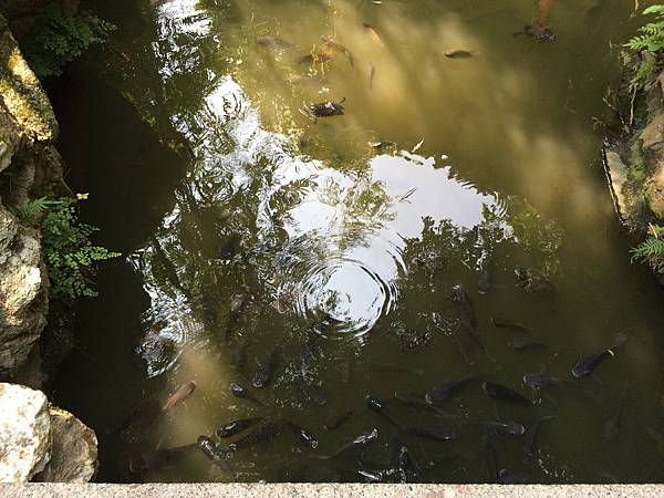 IMG_4889.JPG IMG_4889.JPG