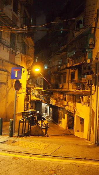 P1015788.JPG P1015788.JPG