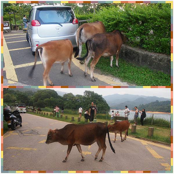 未命名_meitu_5.jpg 未命名_meitu_5.jpg