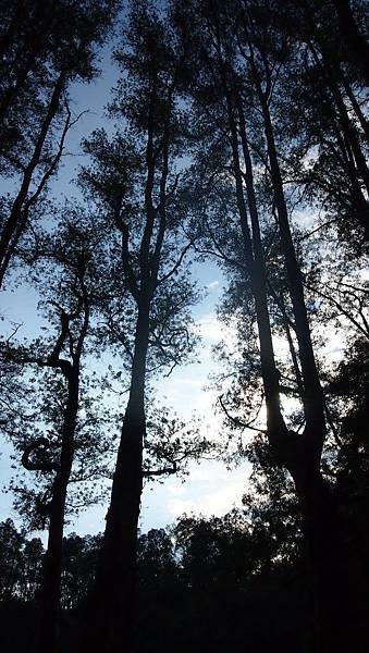 P1016019.JPG P1016019.JPG