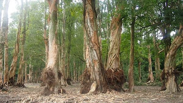 P1016044.JPG P1016044.JPG