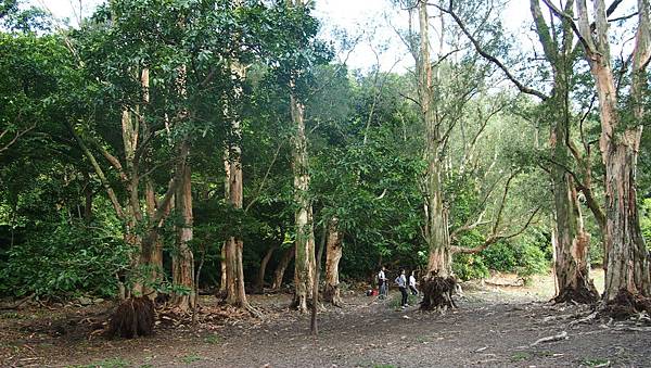 P1016017.JPG P1016017.JPG