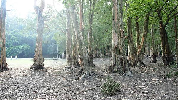 P1016018.JPG P1016018.JPG