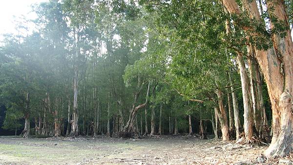 P1016021.JPG P1016021.JPG