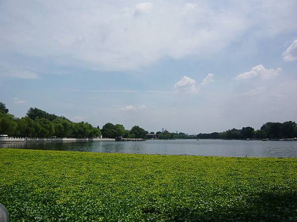 P1170852.JPG P1170852.JPG