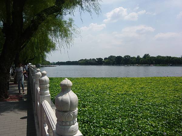 P1170855.JPG P1170855.JPG