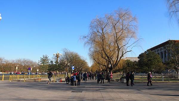 P1010606.JPG P1010606.JPG