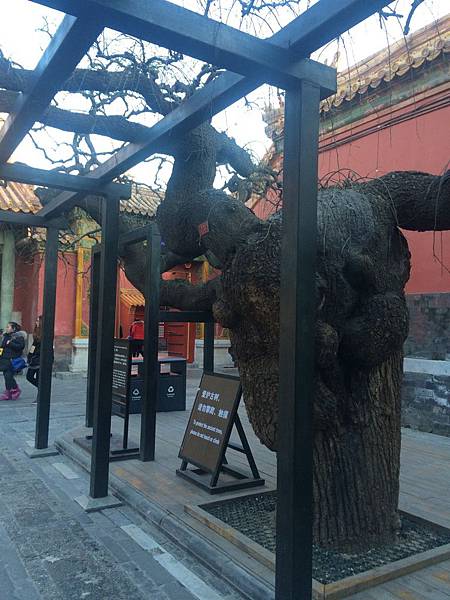 IMG_7461.JPG IMG_7461.JPG