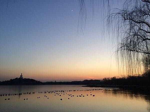 IMG_7496.JPG IMG_7496.JPG