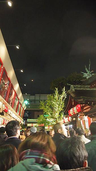 P1081051.JPG P1081051.JPG