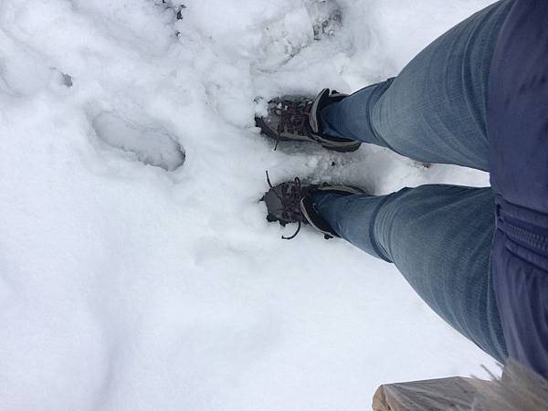 IMG_8597.JPG IMG_8597.JPG