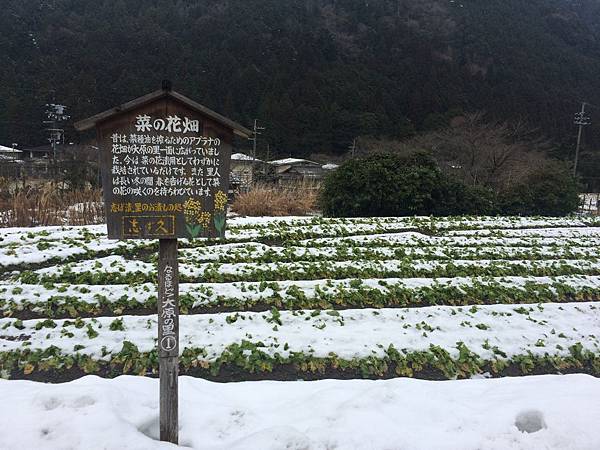 IMG_8546.JPG IMG_8546.JPG