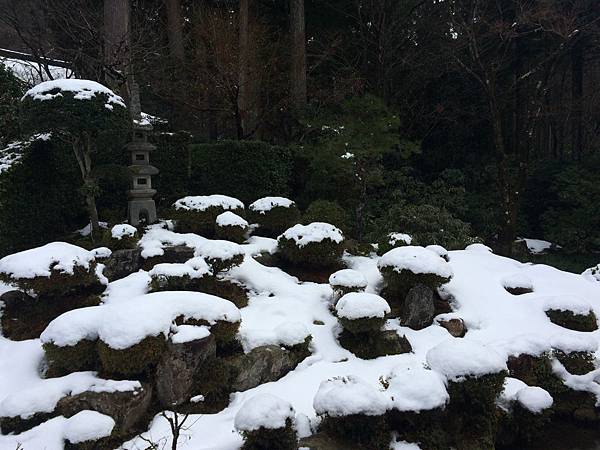 IMG_8572.JPG IMG_8572.JPG