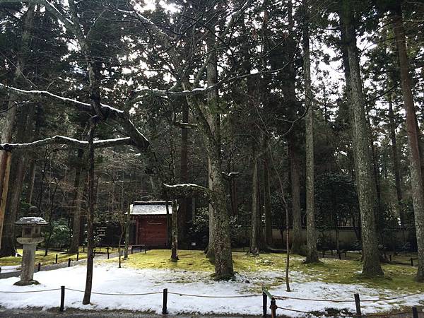 IMG_8574.JPG IMG_8574.JPG