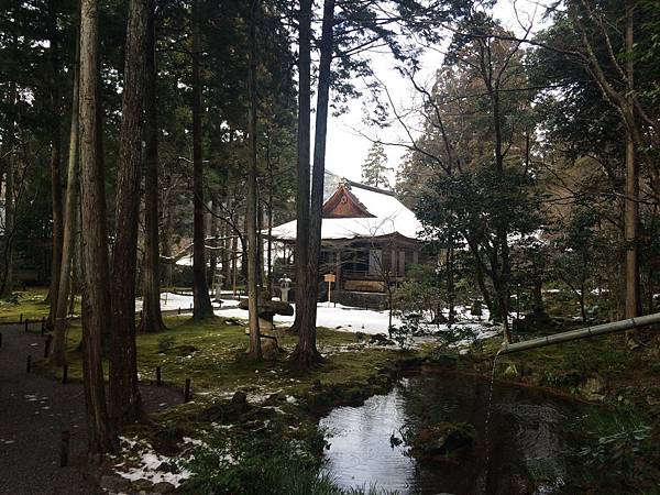 IMG_8593.JPG IMG_8593.JPG