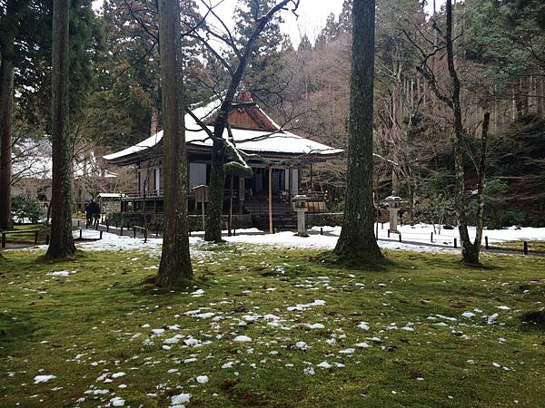 IMG_8594.JPG IMG_8594.JPG