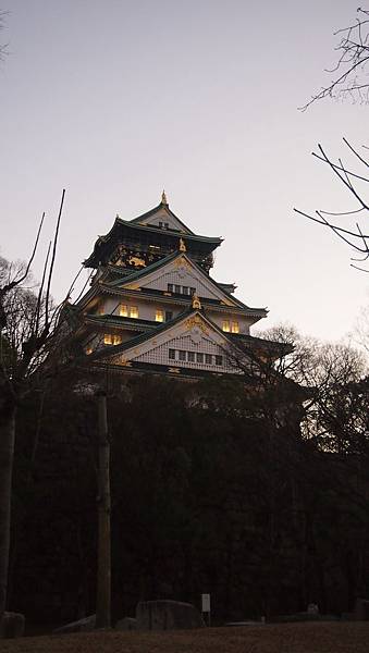 P1091118.JPG P1091118.JPG