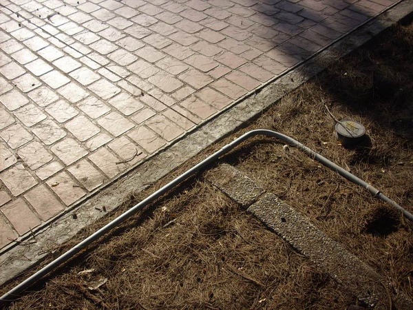 隨便拍 隨便拍