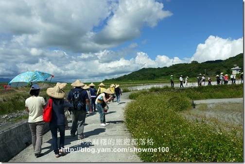 【台東。關山】來去電光鄉下住一晚～B.戴斗笠遊街抓鱉蛋