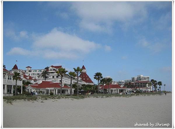 IMG_0913 IMG_0913